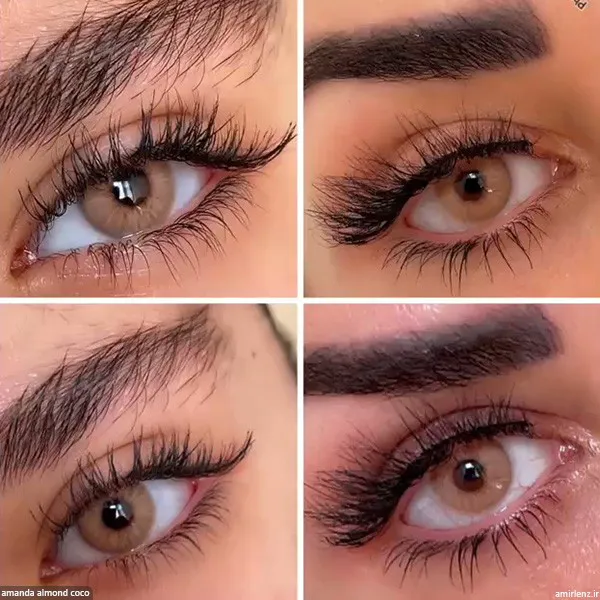 لنز عسلی آجری آلموند کوکو آماندا