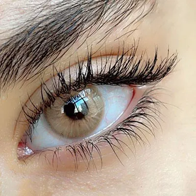 لنز عسلی آجری آلموند کوکو آماندا