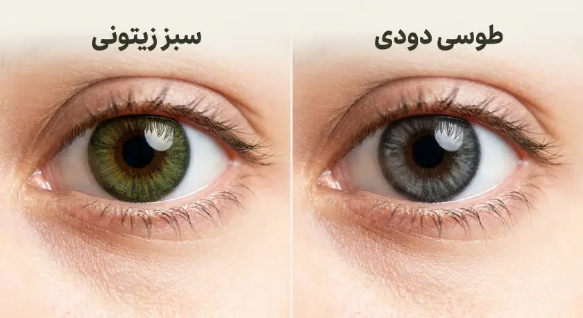 لنز طوسی و سبز برای چشم قهوه ای تیره