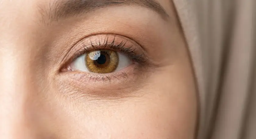 لنز عسلی و فندقی برای چشم قهوه ای تیره