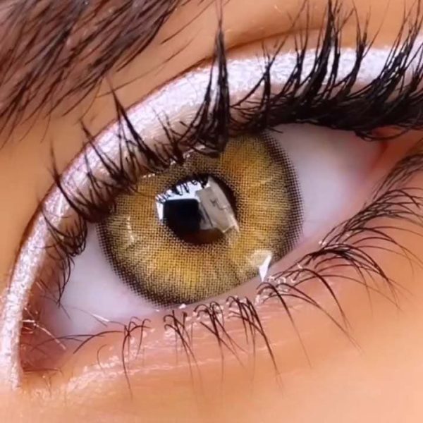لنز عسلی سبز دور مشکی اسموکی سلنا