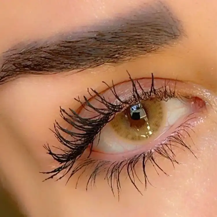 لنز عسلی خاکی کافی سلنا